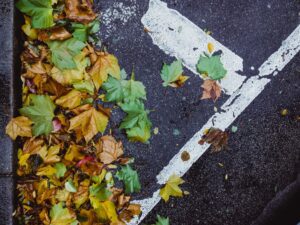 Asphalt ground with autumnal foliage