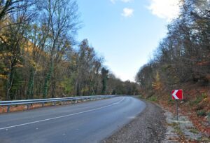 Empty asphalt road in the forest.