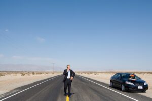 Aszfalt hatása az állatvilágra